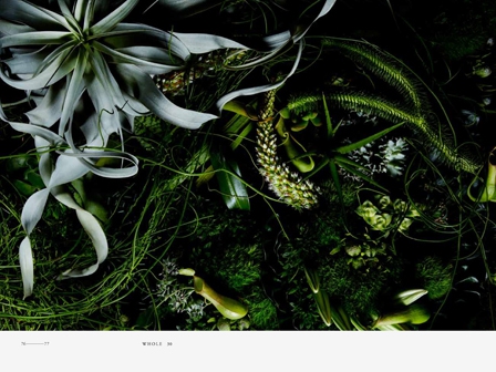 encyclopediaflowers_76_77